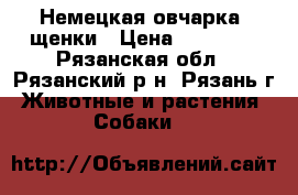 Немецкая овчарка  щенки › Цена ­ 15 000 - Рязанская обл., Рязанский р-н, Рязань г. Животные и растения » Собаки   